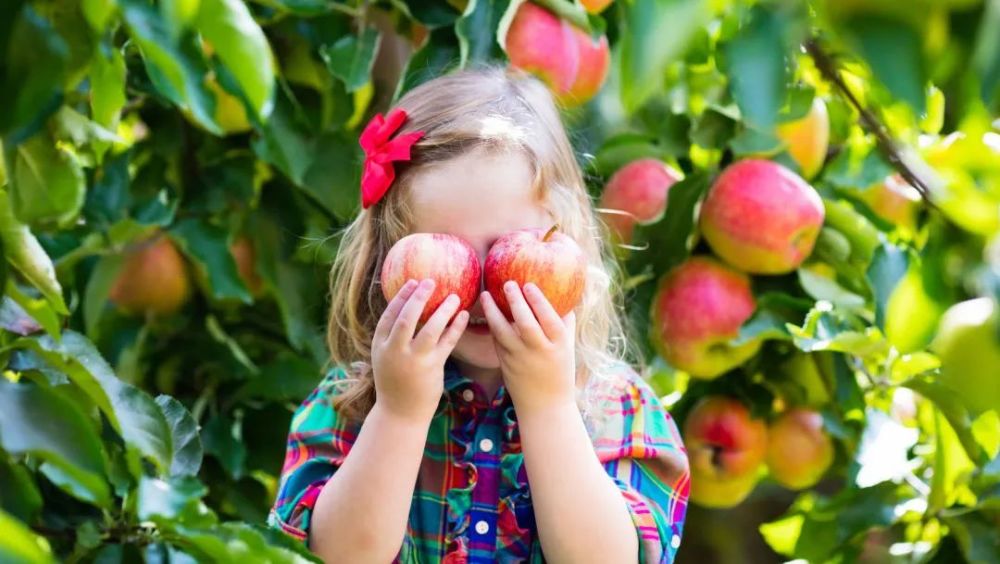 果糖|大量果糖损伤免疫系统，女人吃水果伤身，水果到底吃多少才健康？