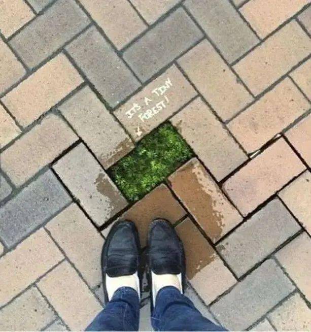 13张爆笑的巧合照片看完瞬间被治愈了哈哈哈