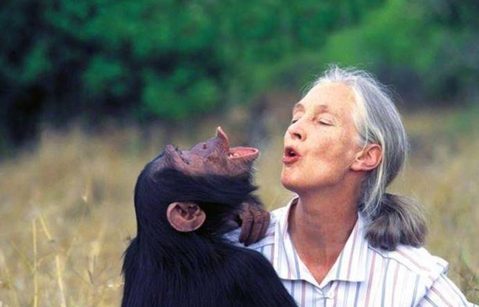 疯狂的人兽杂交实验!