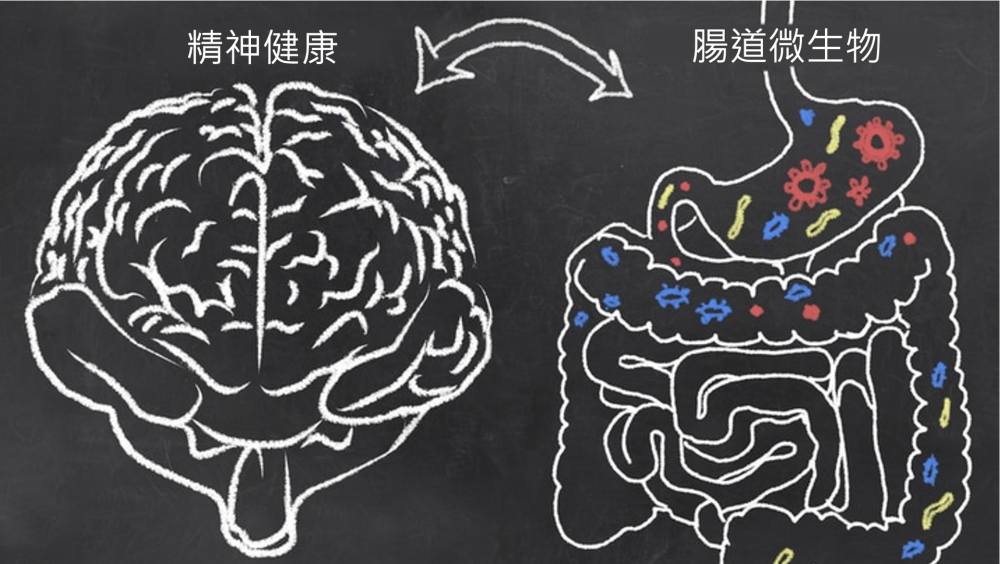 肥胖抑鬱糖尿病恐與腸道生態有關要健康先養出腸道的好菌