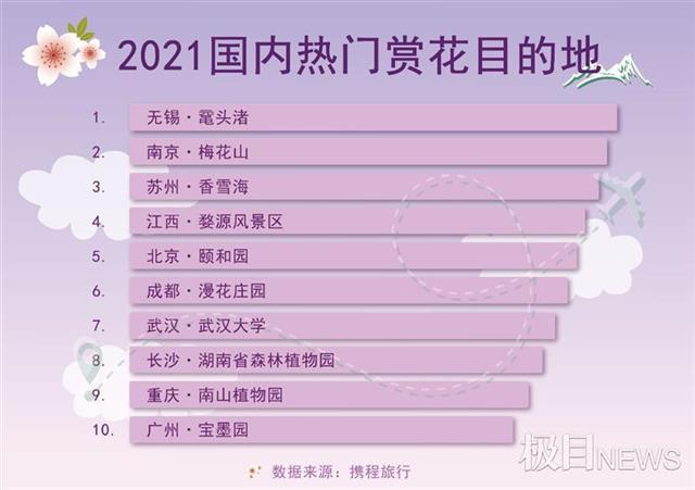 最佳赏花期到了 国内赏花游热度上涨280 大楚网 腾讯网