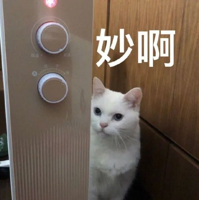 641