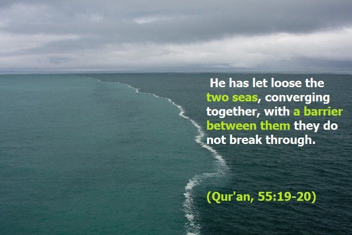 大西洋|大西洋和太平洋海水真的不能融合？这条分界线究竟是什么？