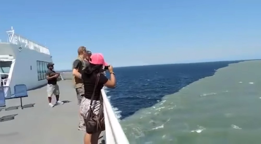 大西洋|大西洋和太平洋海水真的不能融合？这条分界线究竟是什么？