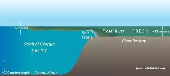 大西洋|大西洋和太平洋海水真的不能融合？这条分界线究竟是什么？