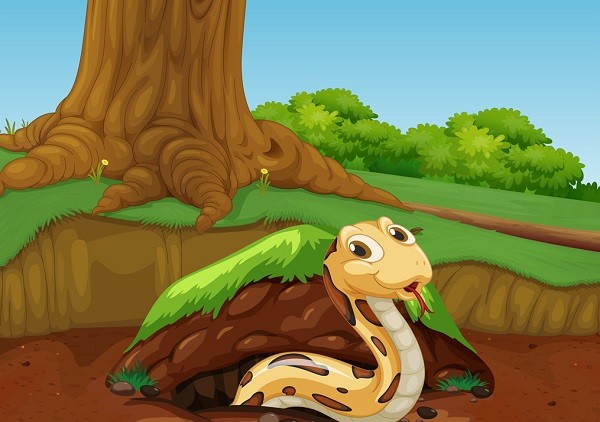 上期中提到恶狼的兄弟独眼狼被万兽之王囚禁在一个山洞里,没事先生