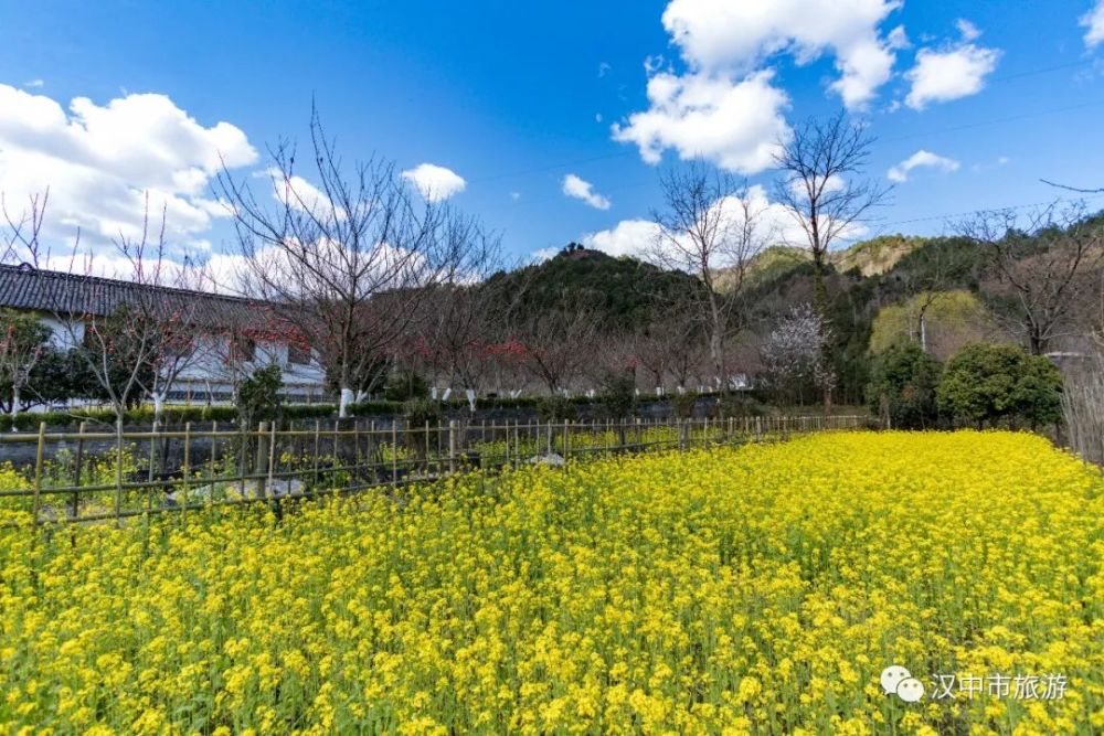 漢中油菜花節(jié)各縣區(qū)觀花線路公布！插圖8