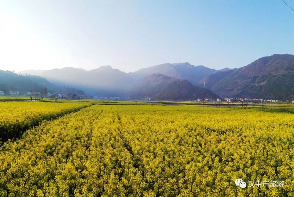 漢中油菜花節(jié)各縣區(qū)觀花線路公布！插圖10