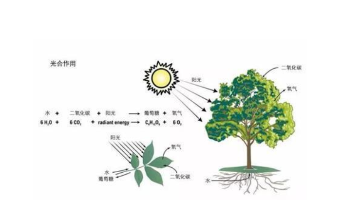 地球|提前约40亿年，地球生命终点可能更早出现，人类或许可以幸免