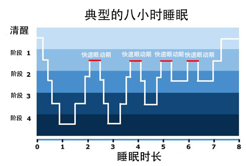 睡眠|为什么午睡醒来经常很“丧”？