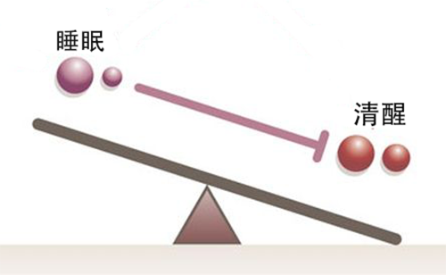 睡眠|为什么午睡醒来经常很“丧”？