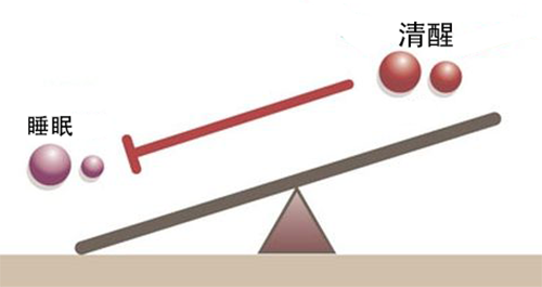 睡眠|为什么午睡醒来经常很“丧”？