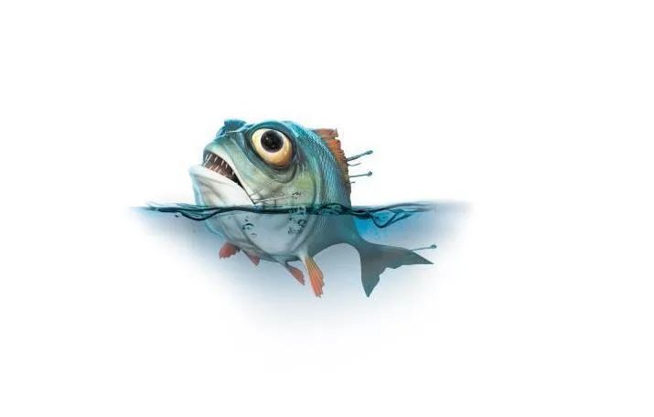 亚马逊热带雨林|被称为地球禁区的亚马逊雨林，为什么没人穿越，可怕在哪些地方？