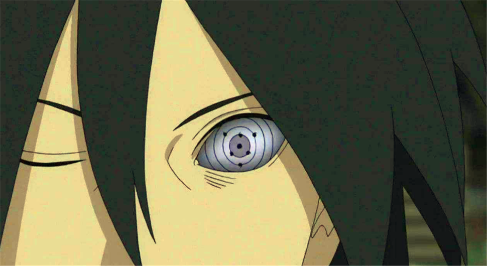 为何佐助移植了柱间细胞得到了六道之力却只开了一只轮回眼