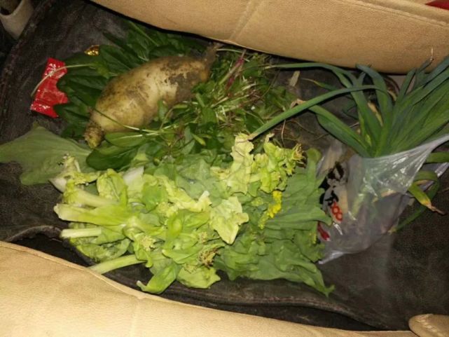 贵州一男子偷菜落下钱包!菜主隔空喊话笑晕网友!