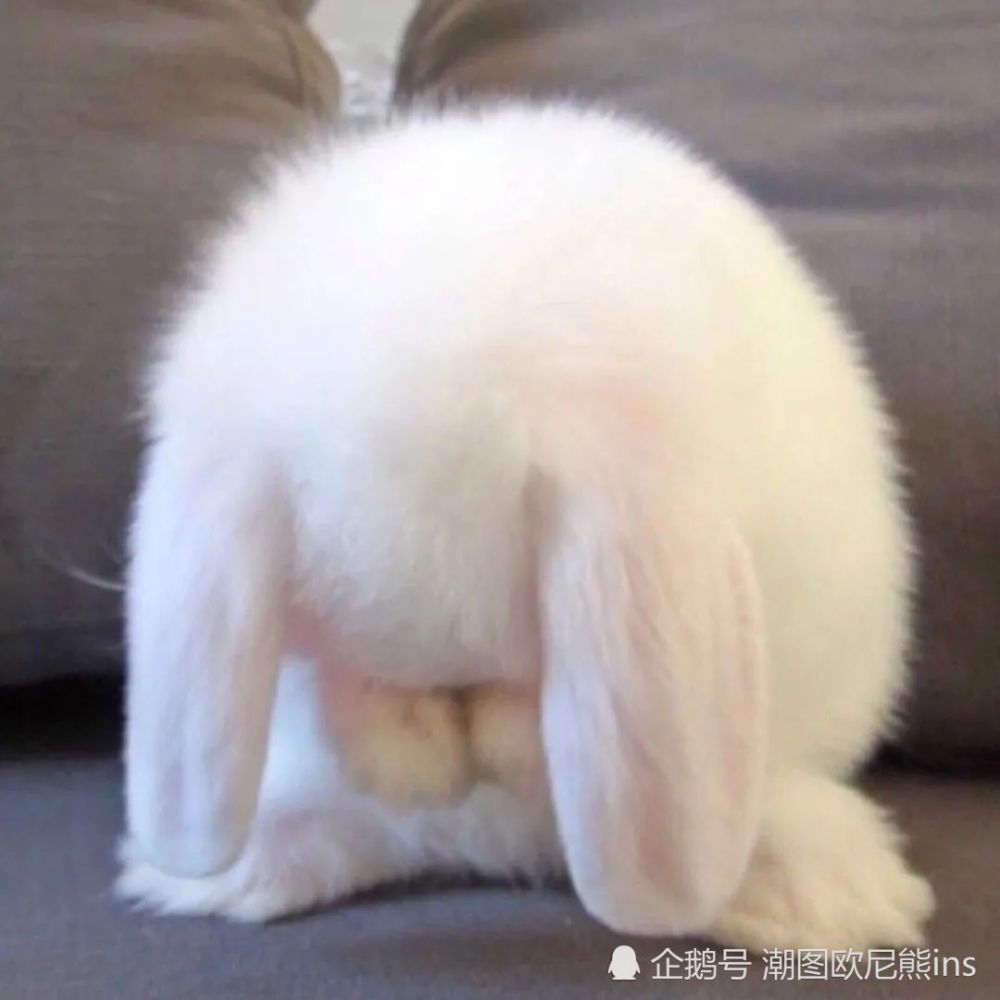 2021个性头像集想念又被大雨淹没了幸好我的心有这些头像俘获了