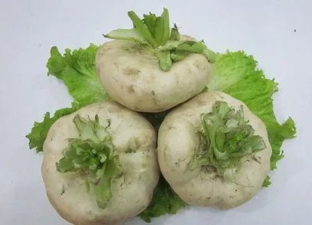 芜菁芜菁是盛产于新疆的一种植物,它也被叫做恰玛古,具有很好的开胃