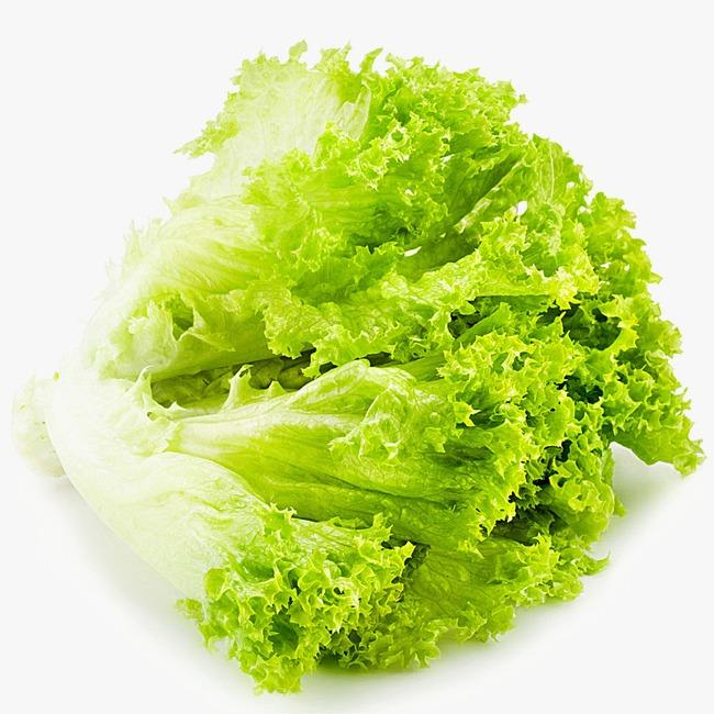 太空|动植物日｜大师课——特别的航天英雄们