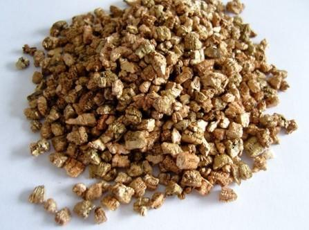 太空|动植物日｜大师课——特别的航天英雄们