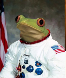 太空|动植物日｜大师课——特别的航天英雄们