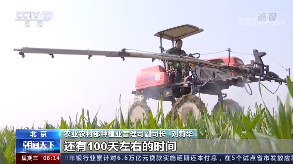 冬小麦|惊蛰麦返青！今年全国冬小麦预计播种面积3.35亿亩