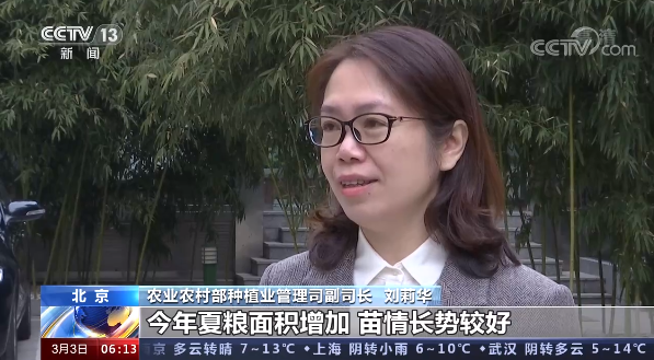 冬小麦|惊蛰麦返青！今年全国冬小麦预计播种面积3.35亿亩