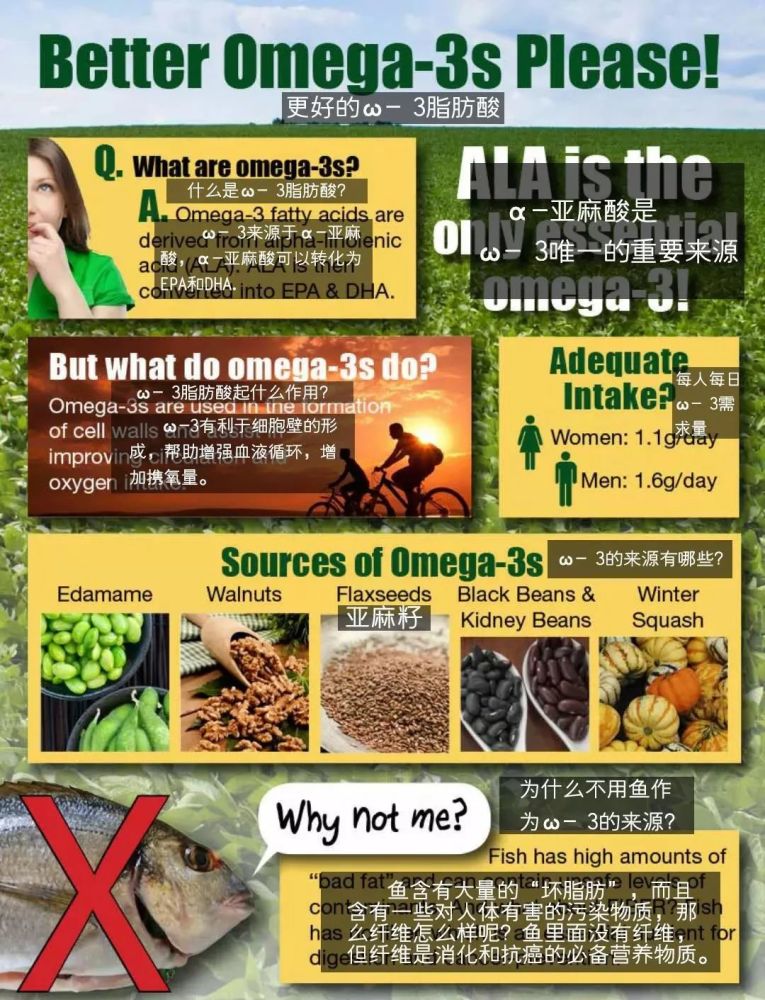 欧米伽-3|欧米伽-3有国际宣传日，你知道吗？