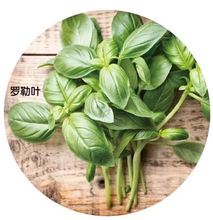 葡萄酒|大自然的“酿造大师”