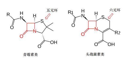 皮试|人命关天！使用头孢前到底要不要皮试？