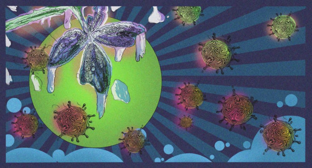 车厘子|坚果能量奇高，吃了会发胖？2月“科学”流言榜来啦！