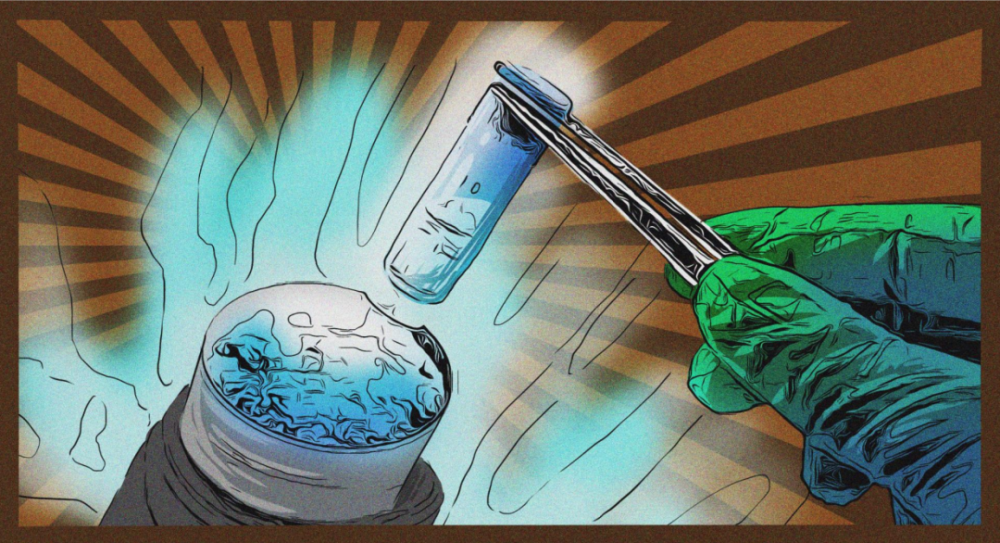 车厘子|坚果能量奇高，吃了会发胖？2月“科学”流言榜来啦！