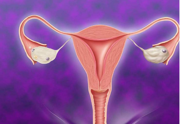 宫寒备孕几多愁52岁妇科专家常吃一物或助子宫变暖