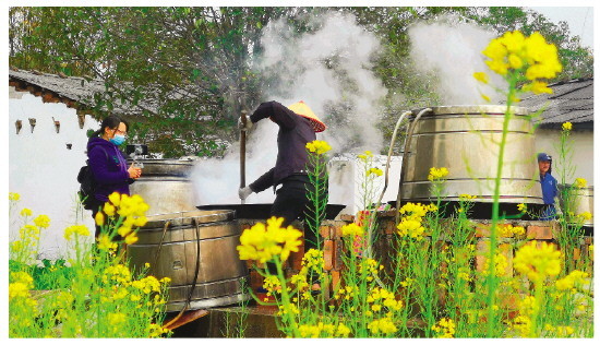 新春走基层临桂泗林村品甘蔗美酒与春色同醉