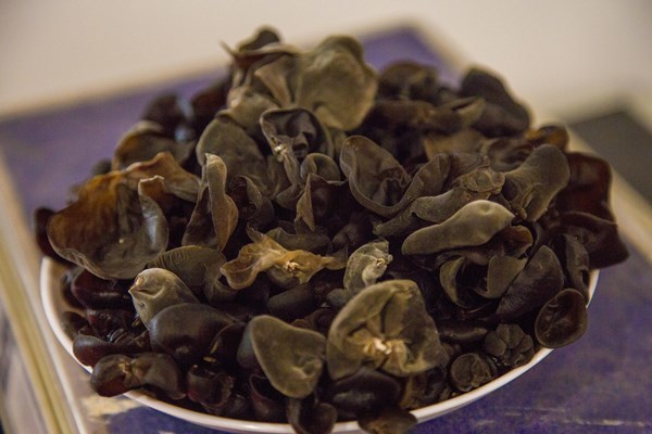 乙肝|乙肝要忌口吗？得了乙肝，吃点什么有助肝恢复？医生告诉你重点