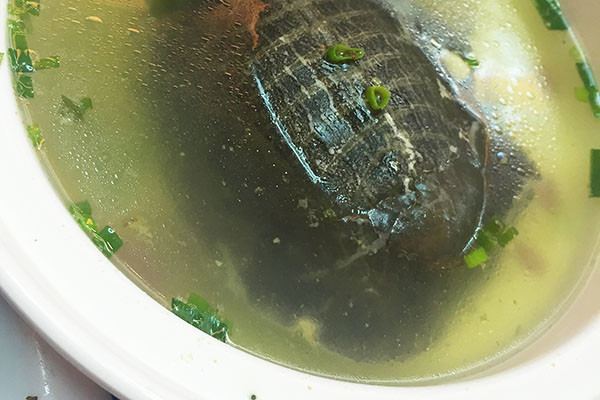 乙肝|乙肝要忌口吗？得了乙肝，吃点什么有助肝恢复？医生告诉你重点