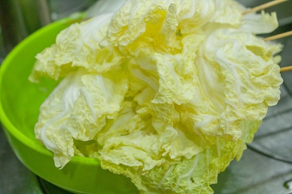 乙肝|乙肝要忌口吗？得了乙肝，吃点什么有助肝恢复？医生告诉你重点