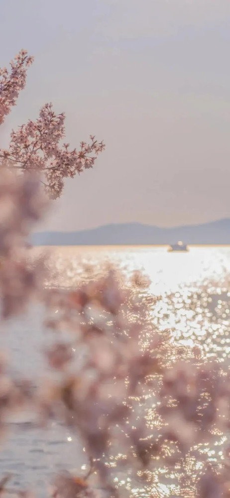 【2021314】官宣的文案