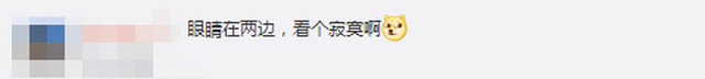 金鱼|成精了？金鱼排成一排看电视，网友调侃：7秒前的内容还能记得吗