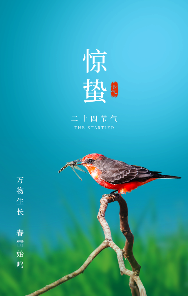 送一句问候今日惊蛰