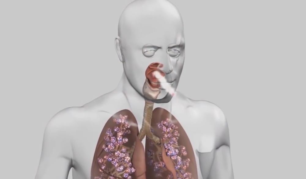 冷知识|【发兔冷知识】开始戒烟后，身体会发生什么变化？