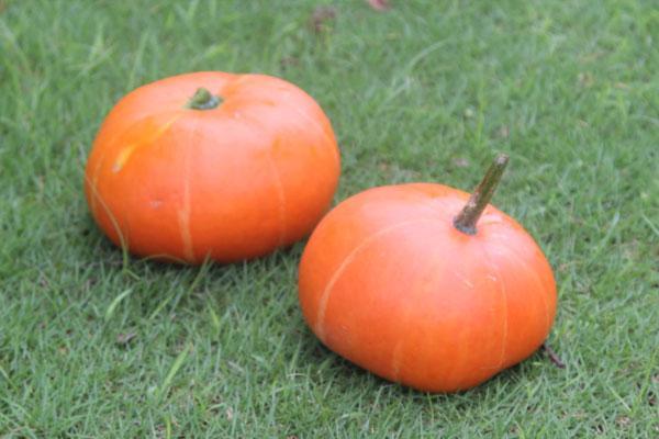 胃火旺|胃火旺盛，身体有哪些表现？哪些食物会加重胃火问题？