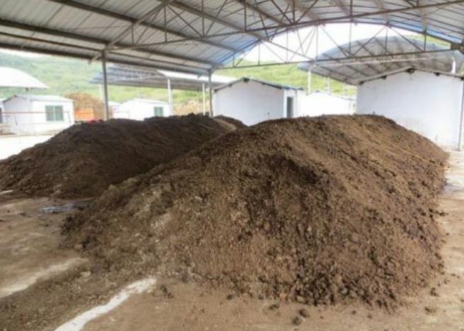 发酵|鸡粪发酵有机肥方法，关键3大步骤，跟着教程来腐熟很简单