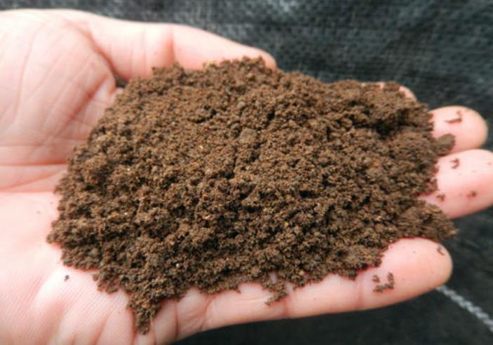 发酵|鸡粪发酵有机肥方法，关键3大步骤，跟着教程来腐熟很简单