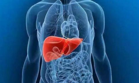 肝脏|肝一“硬”，屁就多！别以为爱放屁是通畅，或许是肝在“sos”