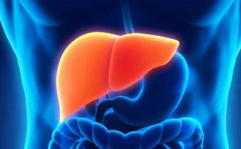 肝脏|肝一“硬”，屁就多！别以为爱放屁是通畅，或许是肝在“sos”