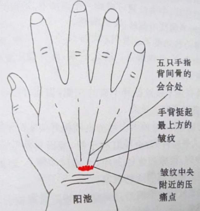 空腹血糖|血糖高，身体有4种表现！少吃3白，记住6个字，稳定血糖更健康