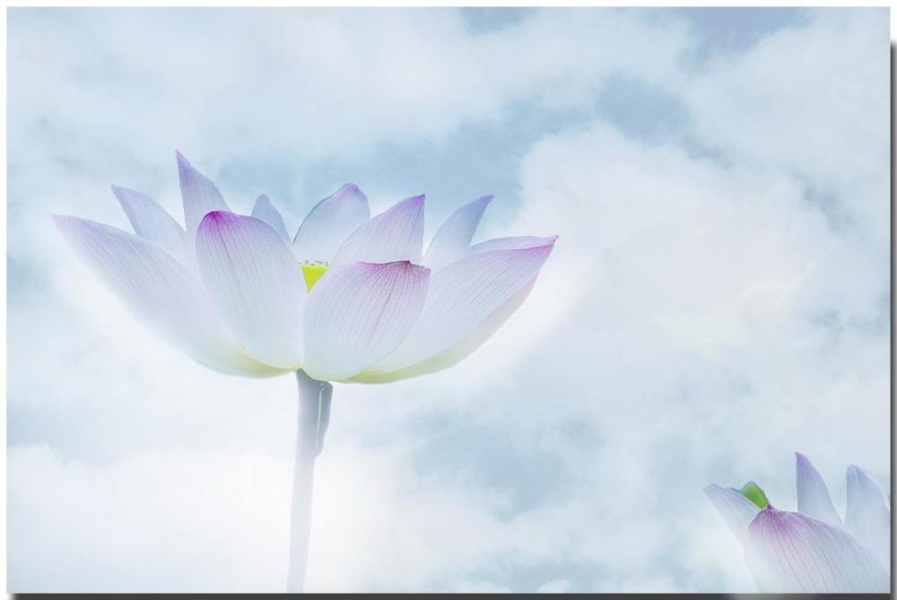 情绪|易经：情绪稳定，思想笃定的人，一生会越来越顺