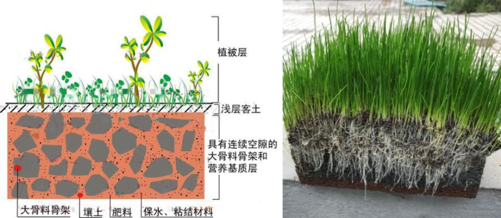 植生混凝土 应用前景广阔的环境友好型护坡材料 腾讯新闻