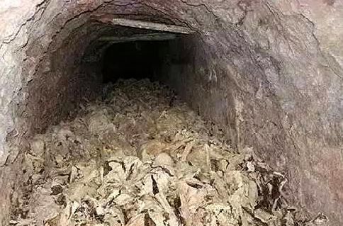 我国考古学家曾在上个世纪六十年代的山西煤矿出土6万具尸骨,当时专家