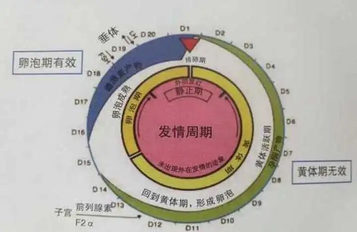 激素|史上最奇葩投毒案，雷到你了没？